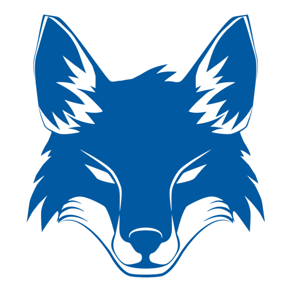 Cruzeiro Raposa